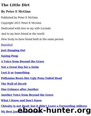 The Little Dirt by Peter E McGinn