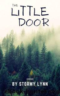 The Little Door by Stormy Lynn