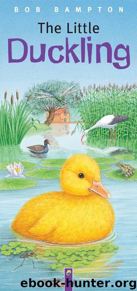 The Little Duckling by Bob Bampton
