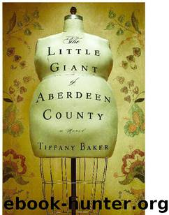 The Little Giant of Aberdeen County by Tiffany Baker