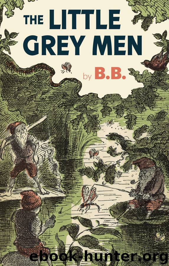 The Little Grey Men by BB