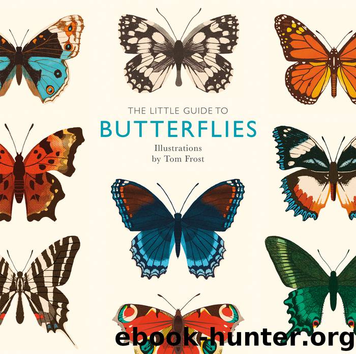 The Little Guide to Butterflies by Tom Frost