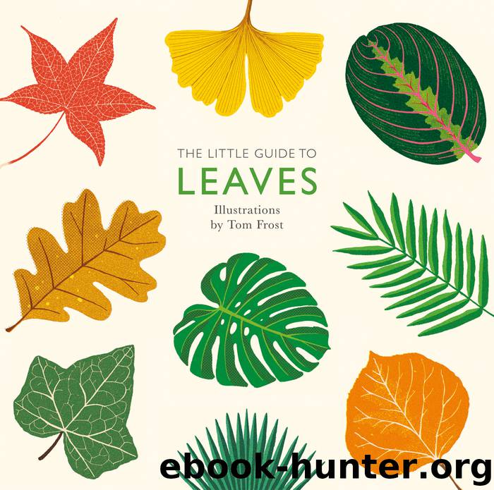 The Little Guide to Leaves by Tom Frost