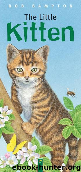 The Little Kitten by Bob Bampton
