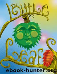 The Little Leaf by Adam Shaeffer