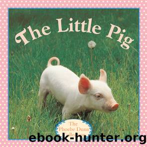 The Little Pig by Judy Dunn