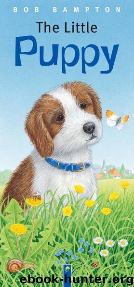 The Little Puppy by Bob Bampton