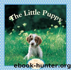 The Little Puppy by Judy Dunn