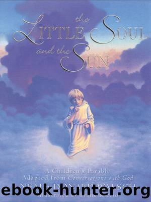 The Little Soul and the Sun by Neale Donald Walsch