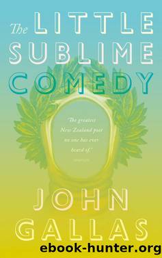 The Little Sublime Comedy by John Gallas