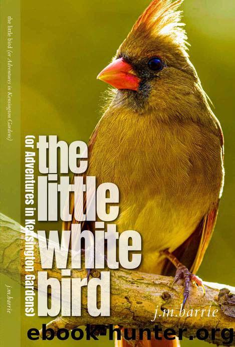 The Little White Bird: or: Adventures in Kensington Gardens by J.M. Barrie
