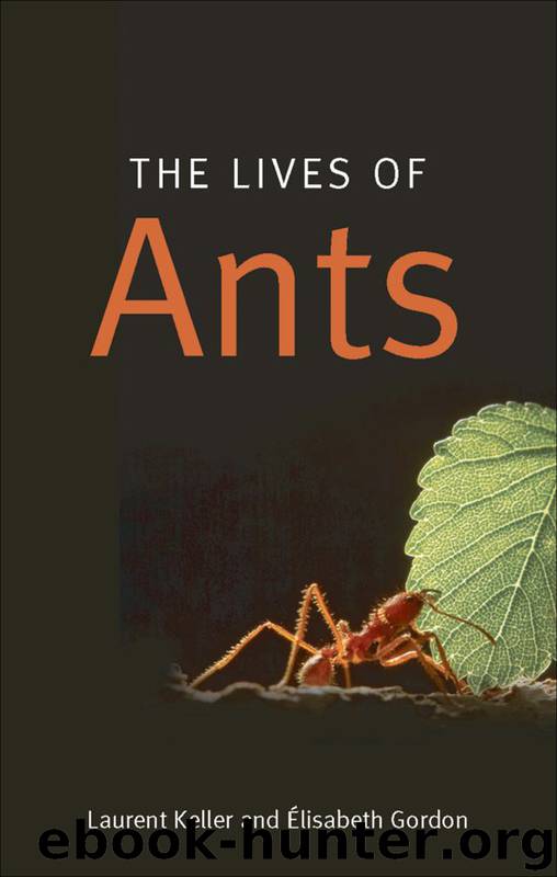The Lives of Ants by Laurent Keller & Élisabeth Gordon