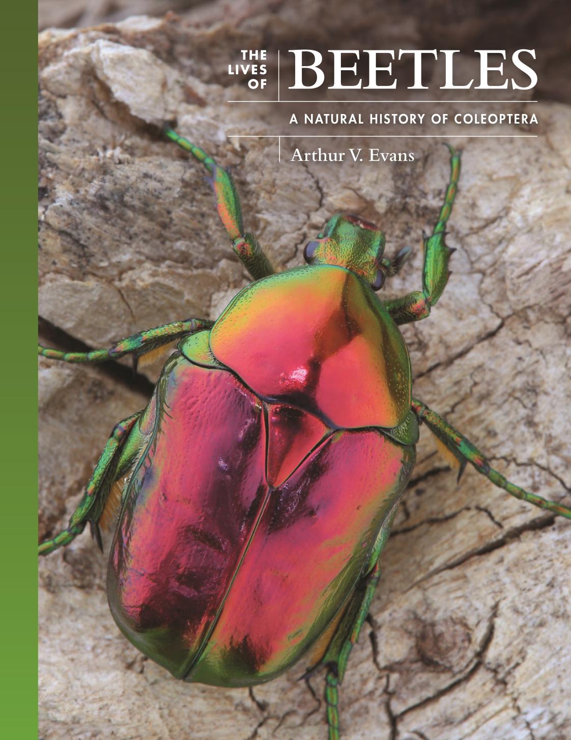 The Lives of Beetles: A Natural History of Coleoptera by Arthur V. Evans