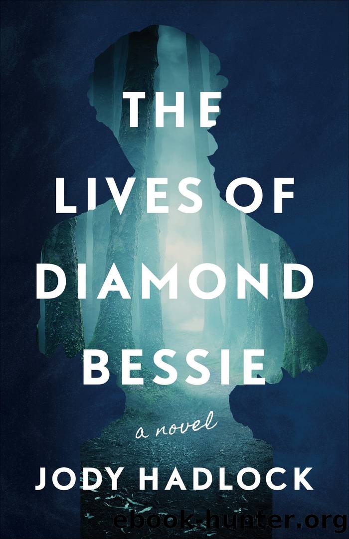 The Lives of Diamond Bessie: A Novel by Jody Hadlock