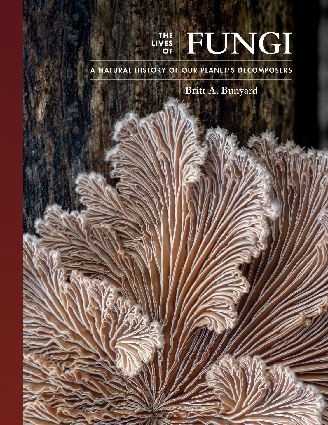 The Lives of Fungi: A Natural History of Our Planet's Decomposers by Britt A. Bunyard