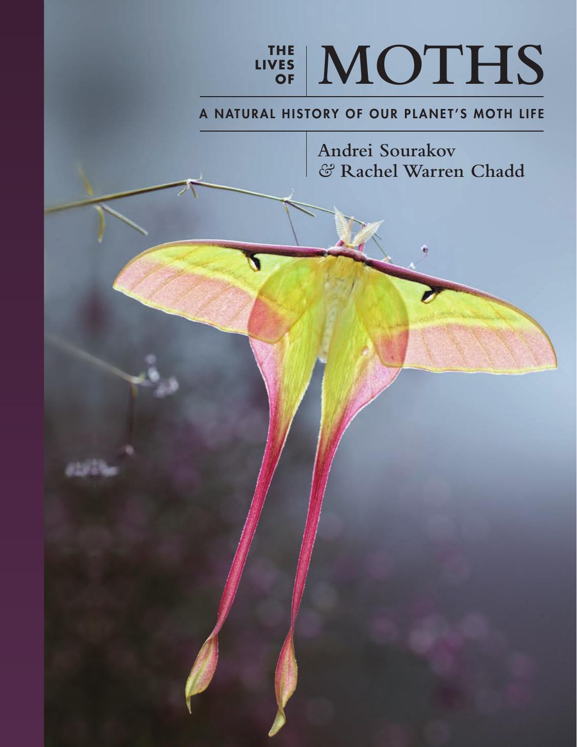 The Lives of Moths: A Natural History of Our Planet's Moth Life by Andrei Sourakov Rachel Warren Chadd