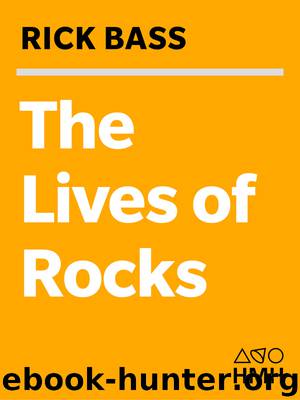 The Lives of Rocks by Rick Bass