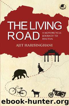 The Living Road by Ajit Harsinghani