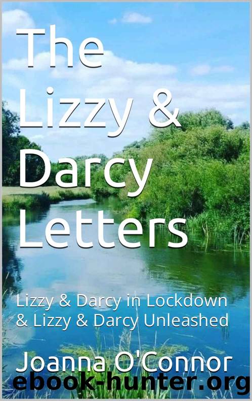 The Lizzy & Darcy Letters: Lizzy & Darcy in Lockdown & Lizzy & Darcy Unleashed by Joanna O'Connor