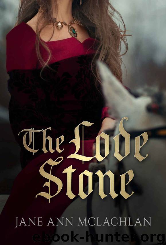 The Lode Stone by Jane Ann McLachlan