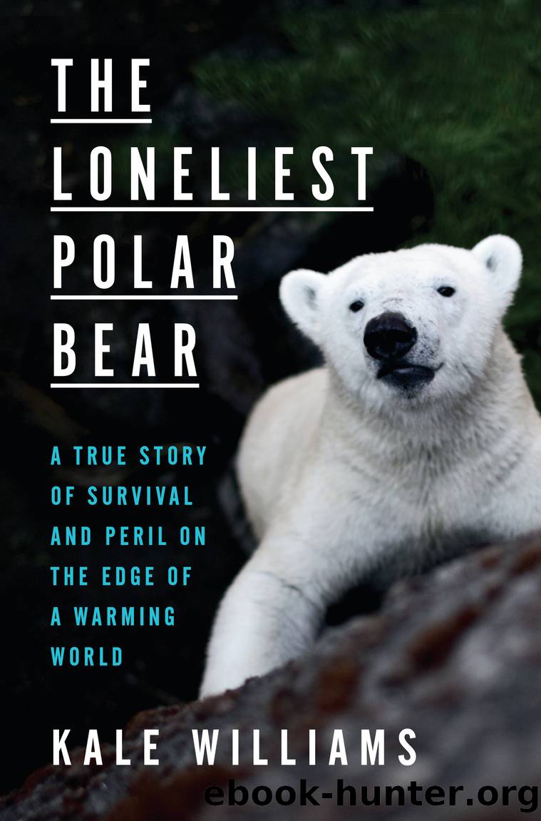 The Loneliest Polar Bear by Kale Williams