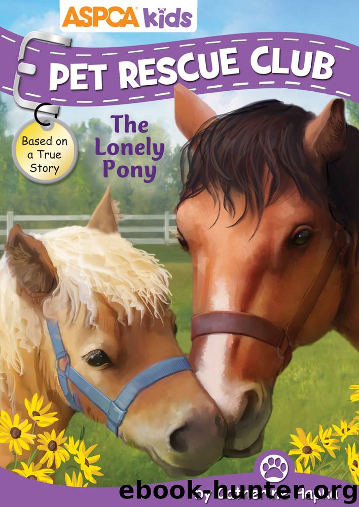The Lonely Pony by Catherine Hapka