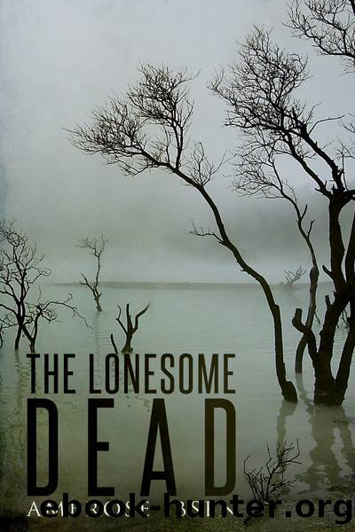 The Lonesome Dead by Ambrose Ibsen
