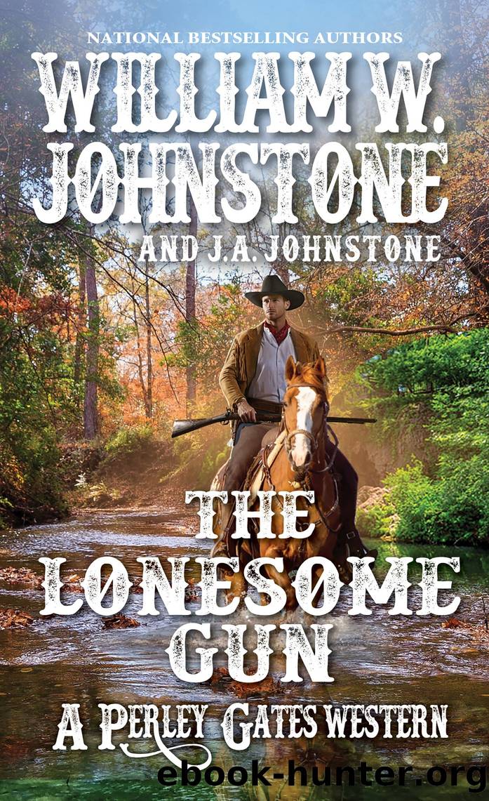 The Lonesome Gun by William W. Johnstone