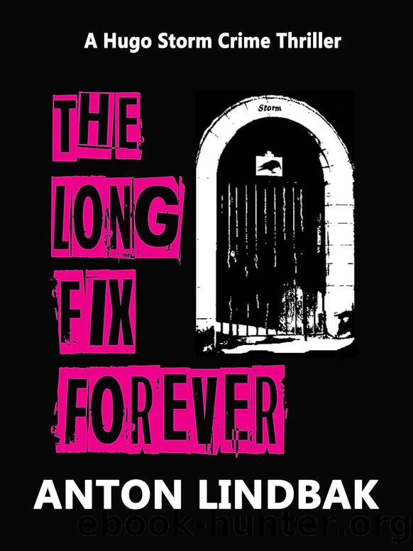 The Long Fix Forever by Anton Lindbak