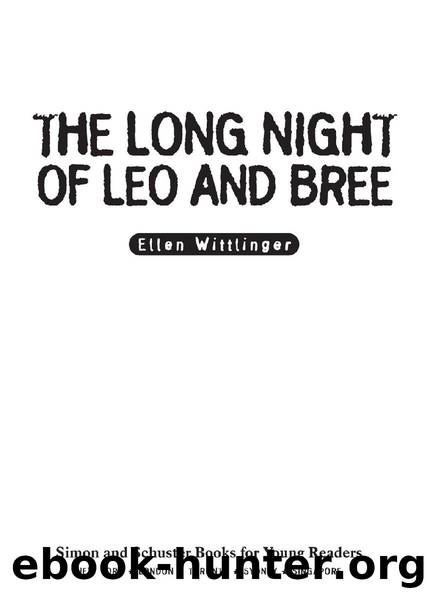 The Long Night of Leo and Bree by Ellen Wittlinger