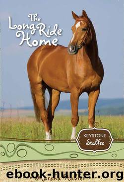The Long Ride Home by Marsha Hubler