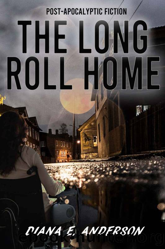 The Long Roll Home by Diana E Anderson