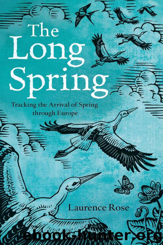 The Long Spring by Laurence Rose