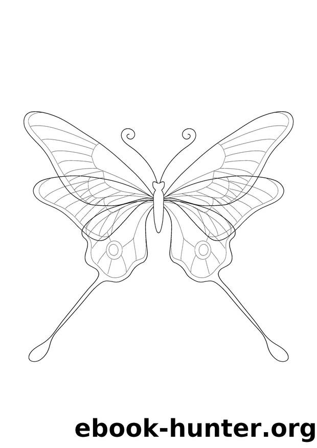 The Long Tailed Butterfly by Unknown