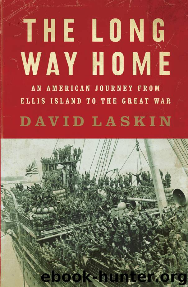The Long Way Home by David Laskin