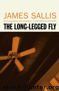 The Long-Legged Fly by James Sallis