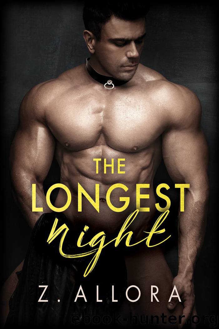 The Longest Night by Z. Allora