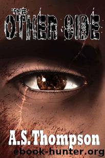 The Longest Road (Book 3): The Other Side by Thompson A.S