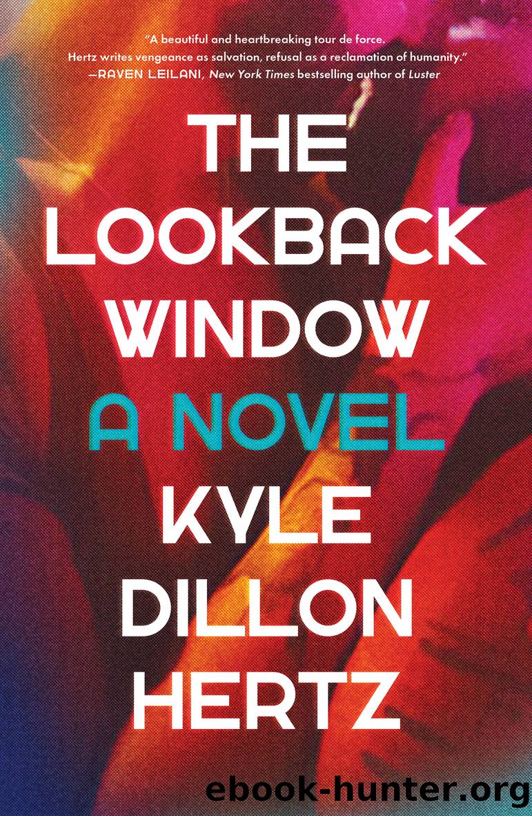 The Lookback Window by Kyle Dillon Hertz