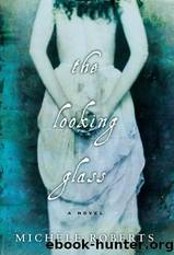 The Looking Glass by Michele Roberts