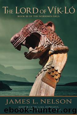 The Lord of Vik-Lo: A Novel of Viking Age Ireland (The Norsemen Saga Book 3) by James L. Nelson
