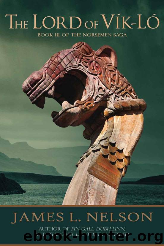 The Lord of Vik-lo: A Novel of Viking Age Ireland (The Norsemen Saga Book 3) by Nelson James L
