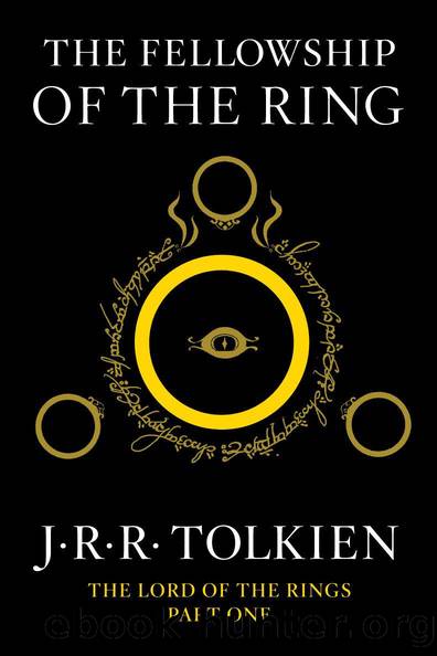 The Lord of the Rings (1) The Fellowship of the Ring by J. R. R. Tolkien