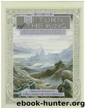 The Lord of the Rings 3 - The Return of the King by J. R. R. Tolkien