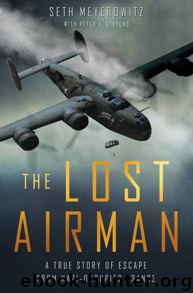 The Lost Airman by Seth Meyerowitz
