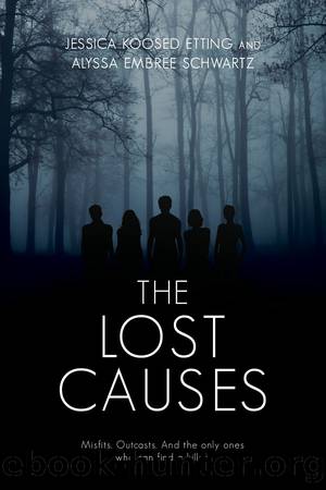 The Lost Causes by unknow
