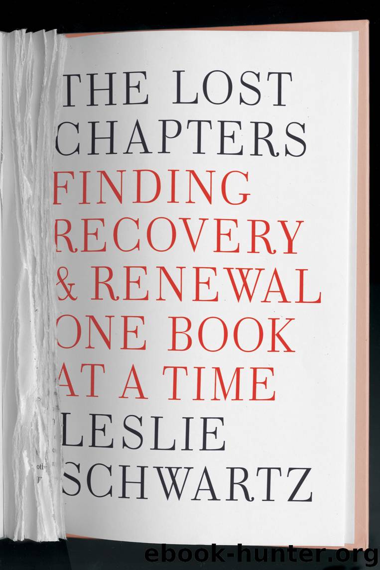 The Lost Chapters by Leslie Schwartz