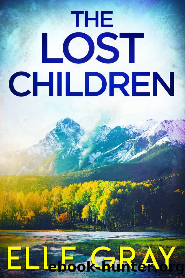 The Lost Children (A Chesapeake Valley Mystery Book 2) by Elle Gray