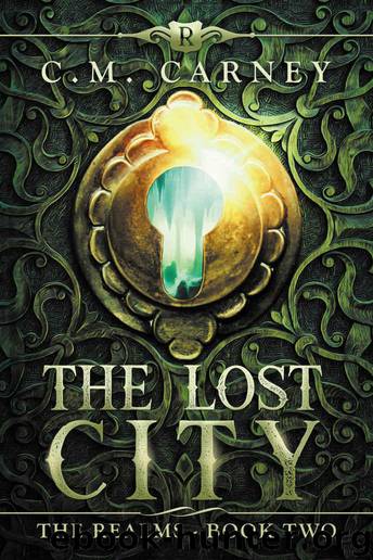The Lost City: The Realms Book Two (An Epic LitRPG Adventure) by Carney C.M