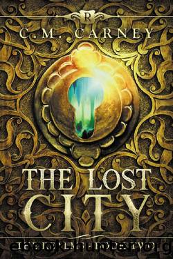 The Lost City: The Realms Book Two: (An Epic LitRPG Series) by C.M. Carney